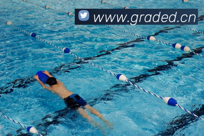 巅峰国际PG下载官网发展历程